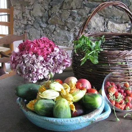 A Casa Cantunniera Pietroso